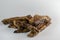 A bunch of dried natural goodies for dogs. Beef lung. Light background. Soft focus