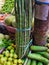 Bunch of drumstick moringa pods in the Indian vegetabe market