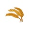 Bunch of dry wheat ears. Cereal plant. Healthy and natural agriculture. Graphic element for logo of bakery shop or