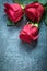 Bunch of expanded red roses on black background celebrations con