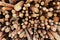 Bunch of felled trees near a logging site. selective focus