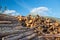 Bunch of felled trees near a logging site, timber in Tatra mountains, Slovakia