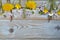 Bunch of fieldflowers,daisies, buttercups, Pentecostal flowers, dandelions on a oldwooden background with empty copy space