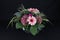 A bunch of flowers with Gerberas, roses and hydrangeas on black background