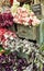 Bunch of flowers on vintage cabinet