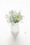 Bunch of forget-me-nots in vase on white background. Romance con