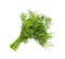 Bunch of fresh aromatic dill on white background