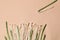 A bunch of fresh asparagus and enoki mushrooms on pink background; space for text