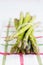 Bunch of fresh asparagus on kitchen cloth closeup