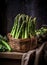 Bunch of fresh asparagus on rustic background.