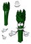 Bunch of fresh asparagus vegetable cartoon