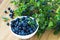 Bunch of fresh blueberry the white bowl on wooden background