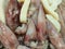 Bunch of fresh calamari squids on ice at fish market. Protein rich food Mediterranean cuisine ingredients healthy balanced diet