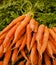 Bunch of fresh carrots in farmer\'s market