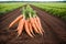 Bunch of fresh carrots with green leaves. Vegetarian food. Vegetarianism and healthy eating. healthy food concept. Generative AI