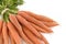 Bunch of fresh carrots isolated