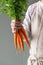 Bunch of fresh carrots in manâ€™s hand.