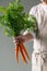 Bunch of fresh carrots in manâ€™s hand.