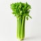 Bunch of fresh celery isolated on white background. Studio shot