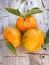 A bunch of fresh clementines freshly collected from the trees in Puglia