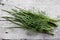 Bunch of fresh dill and bow-feather