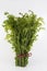 A bunch of Fresh Diplazium esculentum or edible vegetable fern on white background found in Asia and Oceania. most commonly