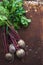 Bunch of fresh garden beetroot over grunge rusty