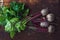 Bunch of fresh garden beetroot over grunge rusty metal backdrop