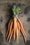 Bunch of fresh garden carrots on rusty background