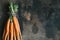 Bunch of fresh garden carrots on rusty background