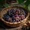 bunch of fresh grapes resting in a rustic woven bamboo basket