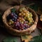 bunch of fresh grapes resting in a rustic woven bamboo basket