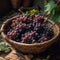 bunch of fresh grapes resting in a rustic woven bamboo basket