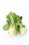 Bunch of fresh green baby bok choy, on white