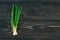 Bunch of fresh green onions scallions in bundle on breadboard table. Dark or neutral wooden background