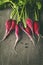 Bunch of Fresh Homegrown Red Radish