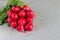 A bunch of fresh juicy red radishes - spring harvest on a gray background.