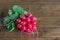 A bunch of fresh juicy red radishes - spring harvest on a wooden background.