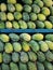 Bunch of Fresh Mangos For Sale