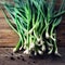 Bunch of fresh organic green onions, scallions on wooden background with pepper. Copyspace