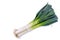 A bunch of fresh organic leeks isolated on a white background