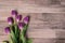 Bunch of fresh picked purple tulip bouquet on a wood plank surface.