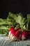 A bunch of fresh radishes on an old painted wooden column on a dark background