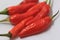 a bunch of fresh red cayenne pepper tastes very spicy