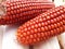 Bunch of Fresh Red Maize or Corn Cob During Harvest Season