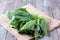 Bunch of fresh sorrel on a wooden background