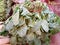 Bunch of fresh spinach Indian palak leaf piled up on the market ready to be sold