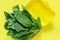 A bunch of fresh spinach in a yellow lunch box on a yellow background. Healthy eating concept. Plastic container. Green Spin