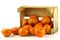 Bunch of fresh tangerines coming out of a box