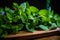 A bunch of fresh, vibrant green mint on a wooden plate with a slightly blurred background